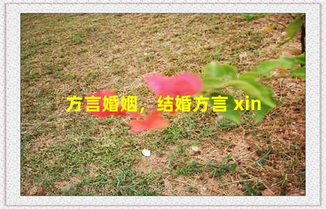 方言婚姻，结婚方言 xin